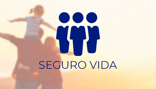 https://latinaseguros.com.br/seguro-vida